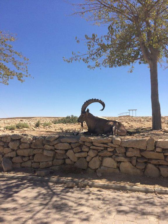 השכרה וסבלט בקומפלקס של יחידות Hotel Mitzpe Ramon Exterior foto